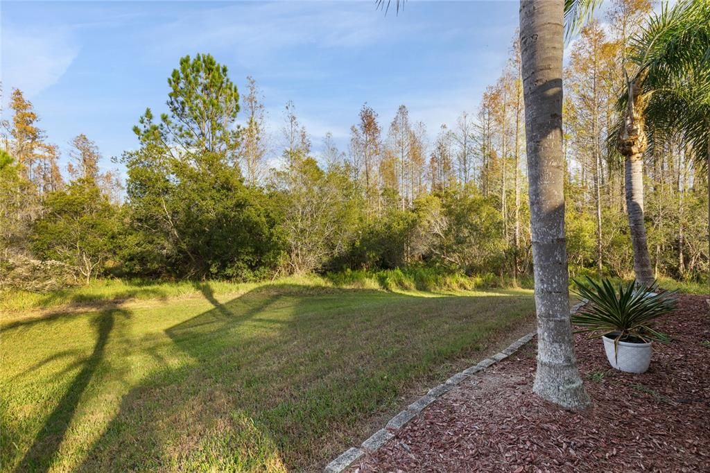 BACK YARD VIEW-CONSERVATION