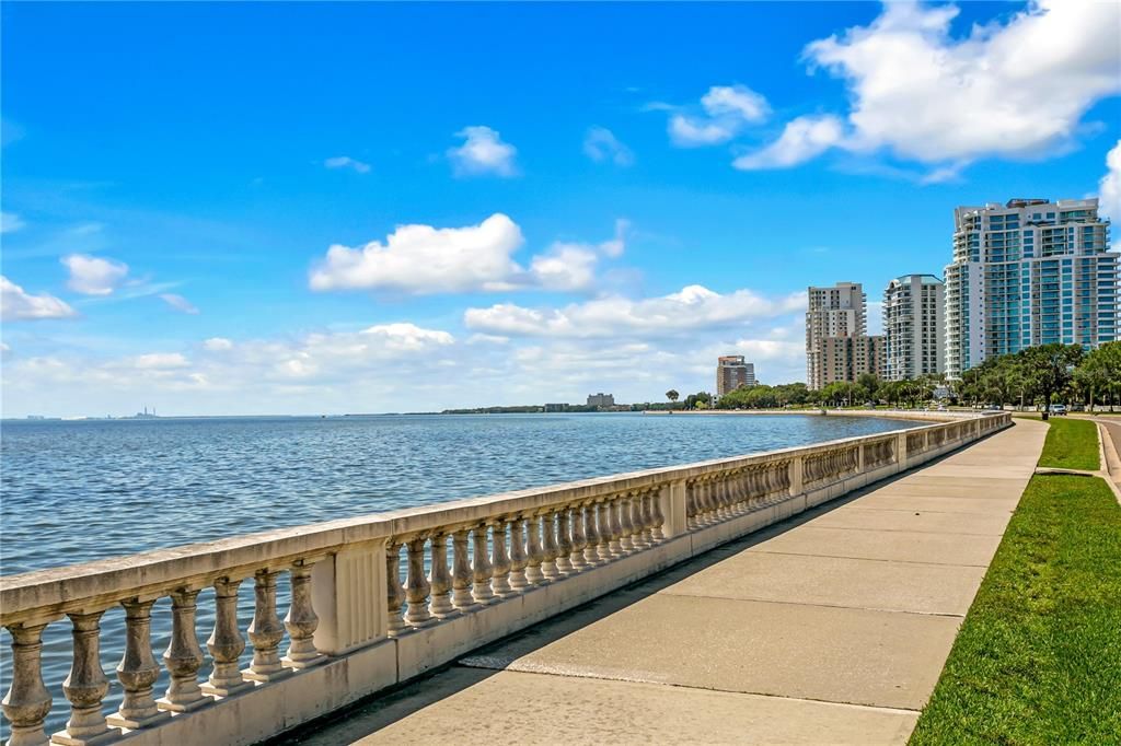 And easy walkability to Tampa’s iconic Bayshore Blvd., for a walk or jog along the Bay.