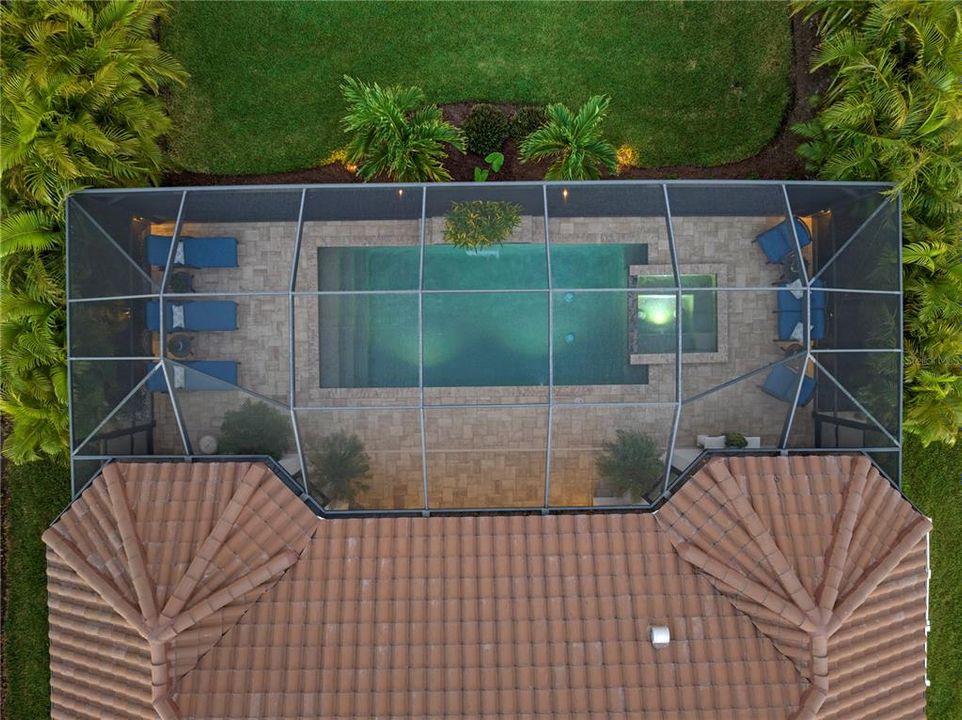 Ariel view of the pool.