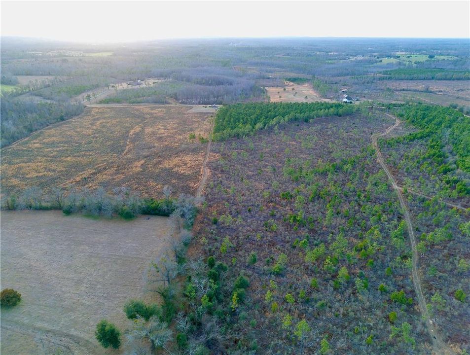 For Sale: $58,500 (7.76 acres)