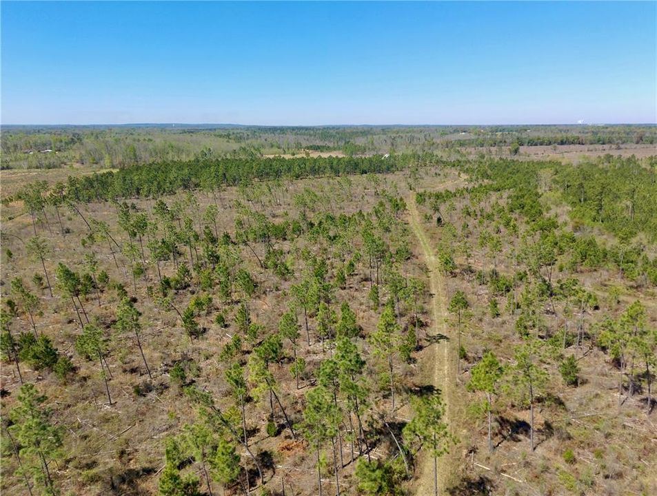 For Sale: $58,500 (7.76 acres)