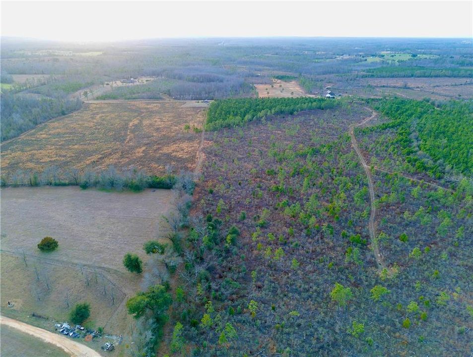 For Sale: $58,500 (7.76 acres)