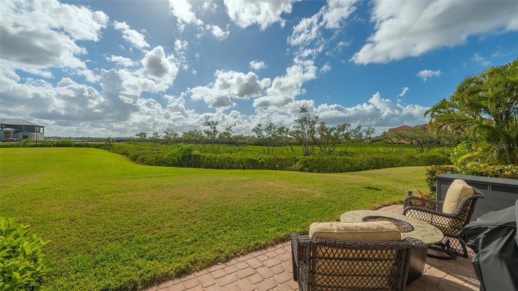 Extended green space in backyard, ideal for walking pets.