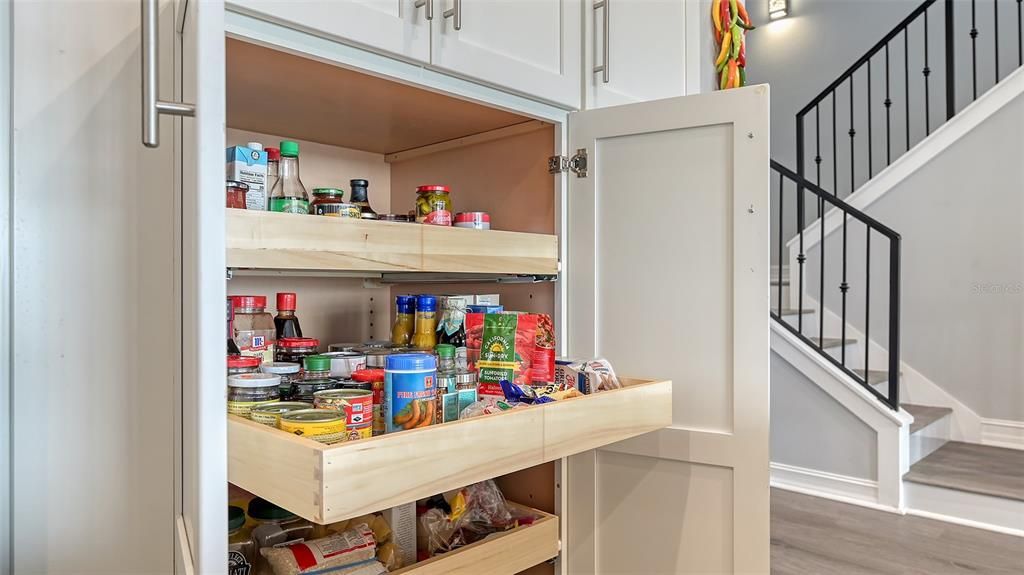 Custom cabinetry with pull outs