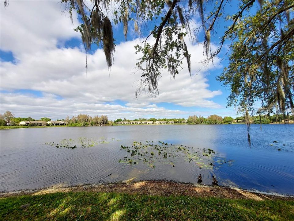 lake view