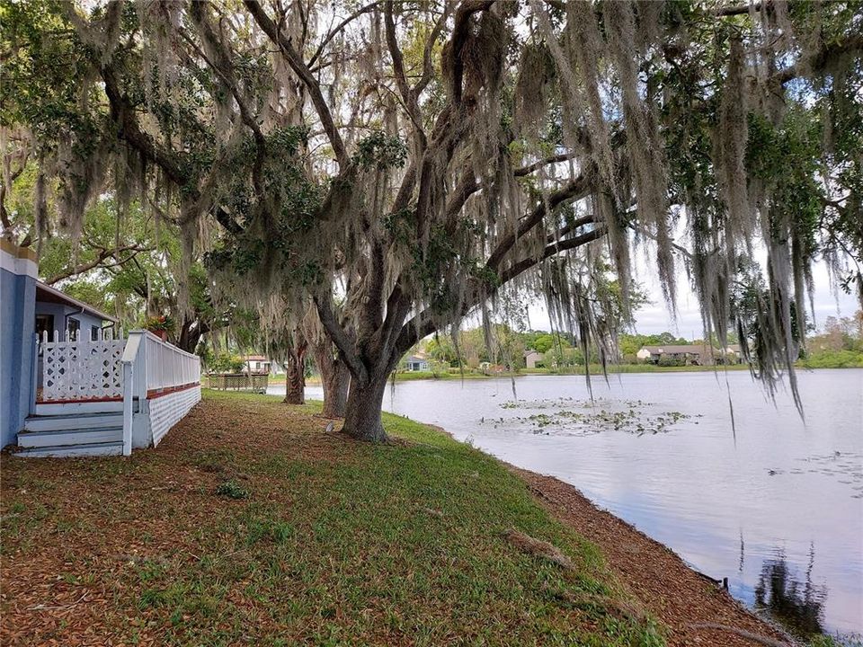 lake view