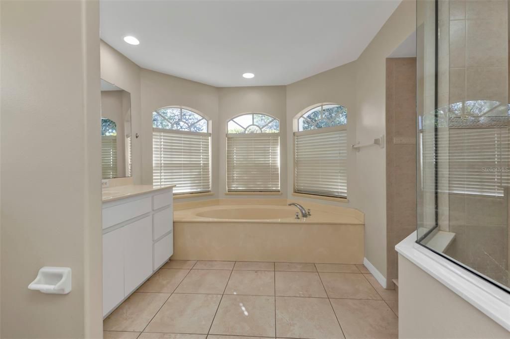 Master bathroom equipped with garden tub, single vanity and sink and walk in shower.