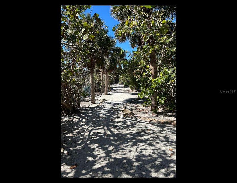 South deeded beach access, end of Beach Rd