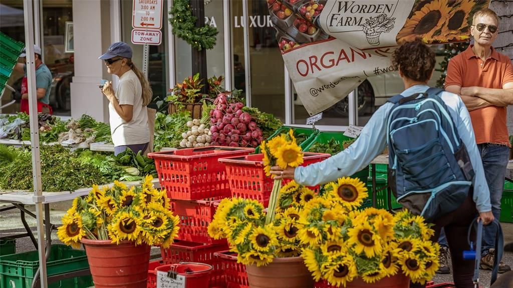 * FARMERS MARKET * in downtown SARASOTA, every Saturday 7:00am to 1:00pm.