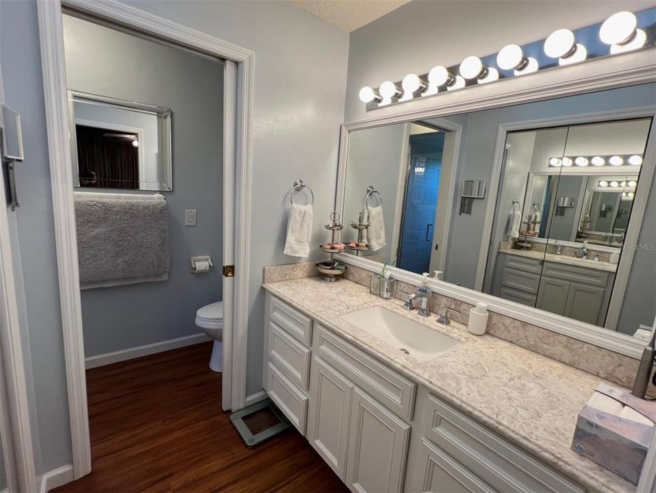 Master bathroom