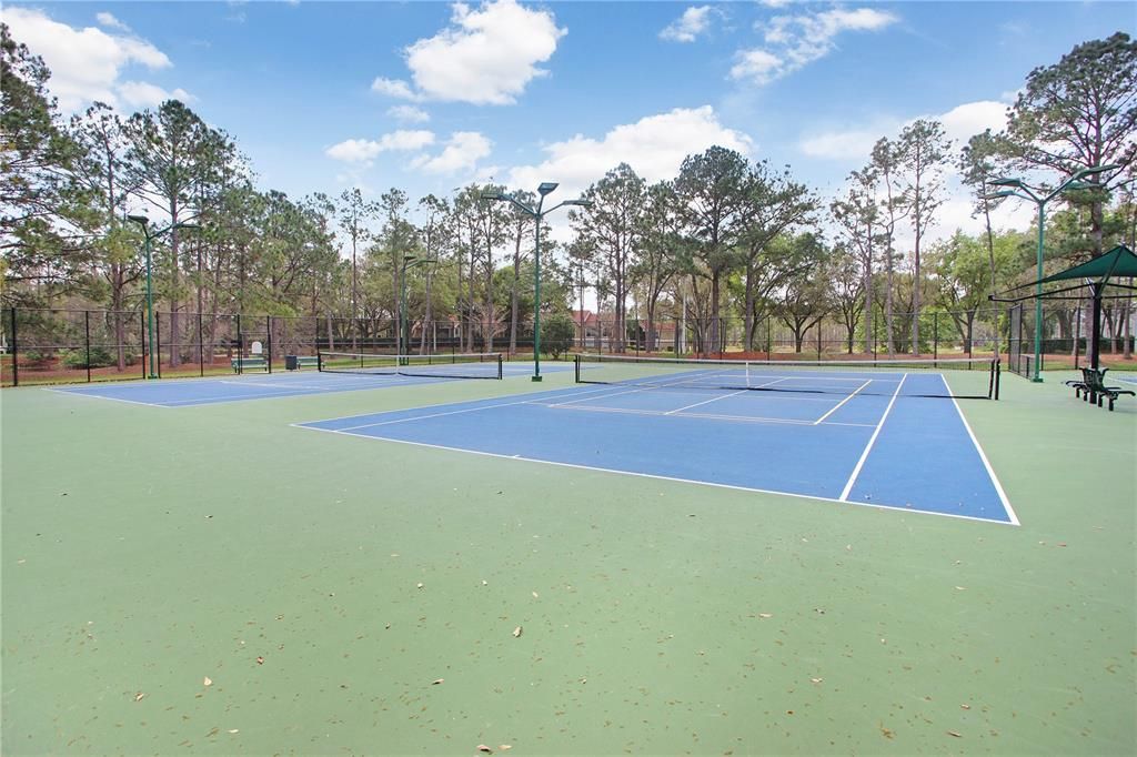 There are tons of amenities in Hunters Green!