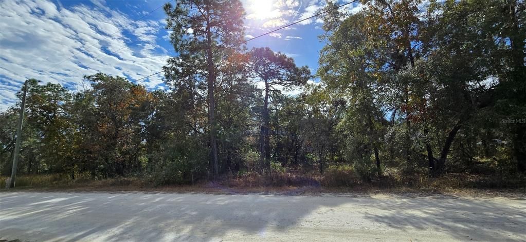 Active With Contract: $47,000 (0.46 acres)