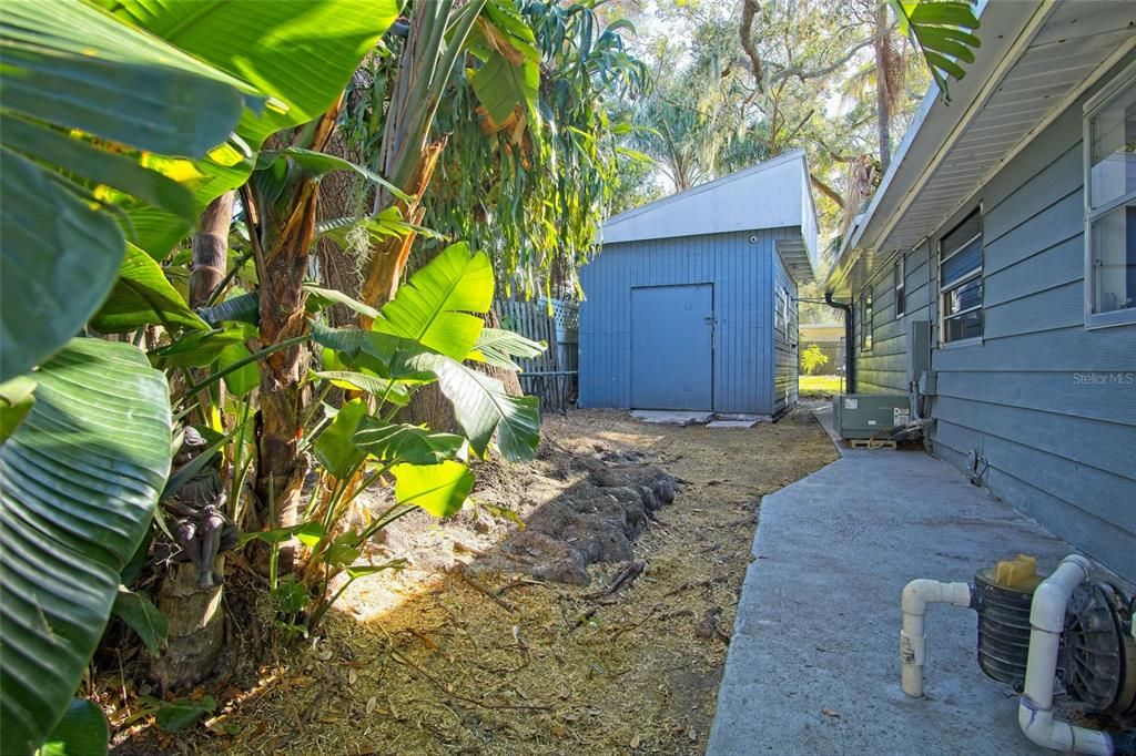 Shed Exterior