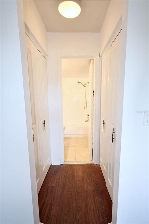 Hallway/Closet to Ensuite Bathroom