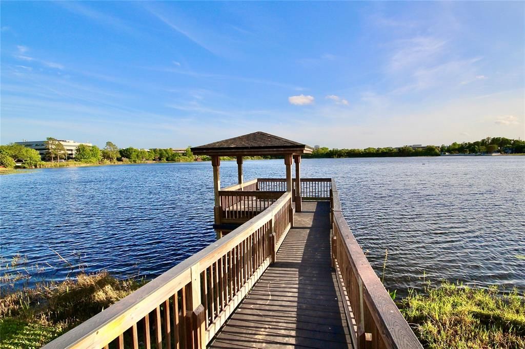 Lake and Community Dock