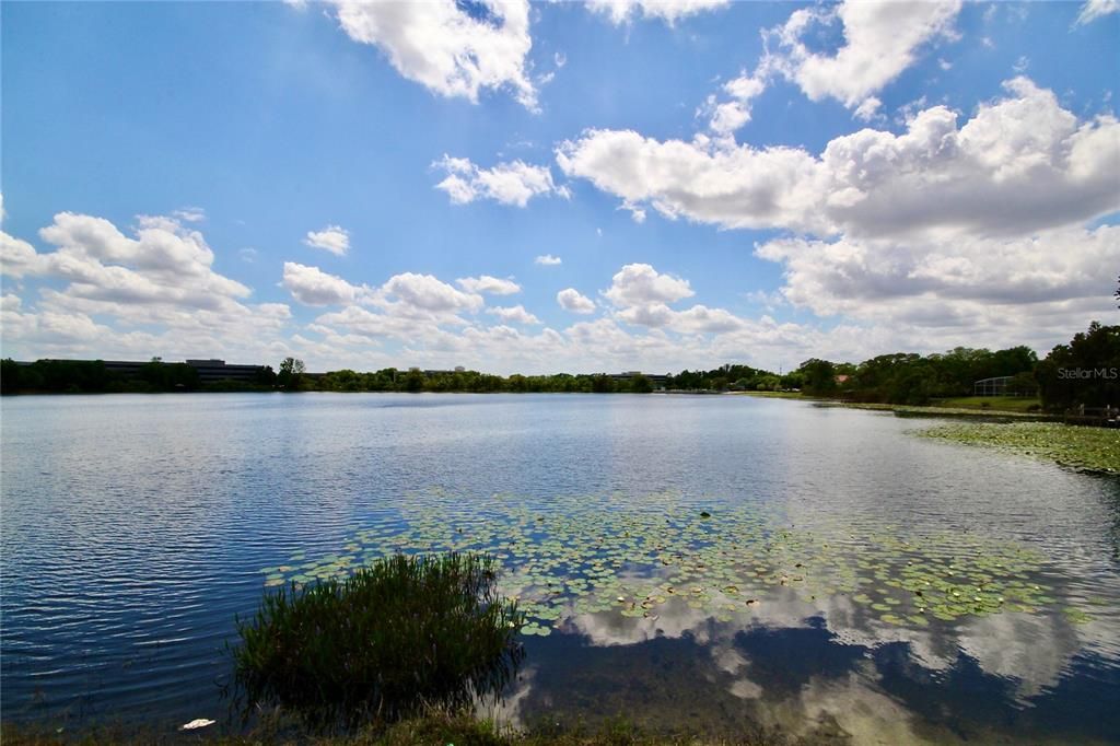 Additional Community Lake Views