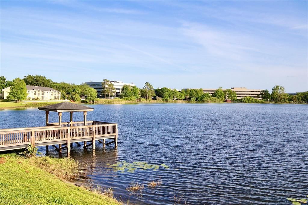 Lake and Community Dock