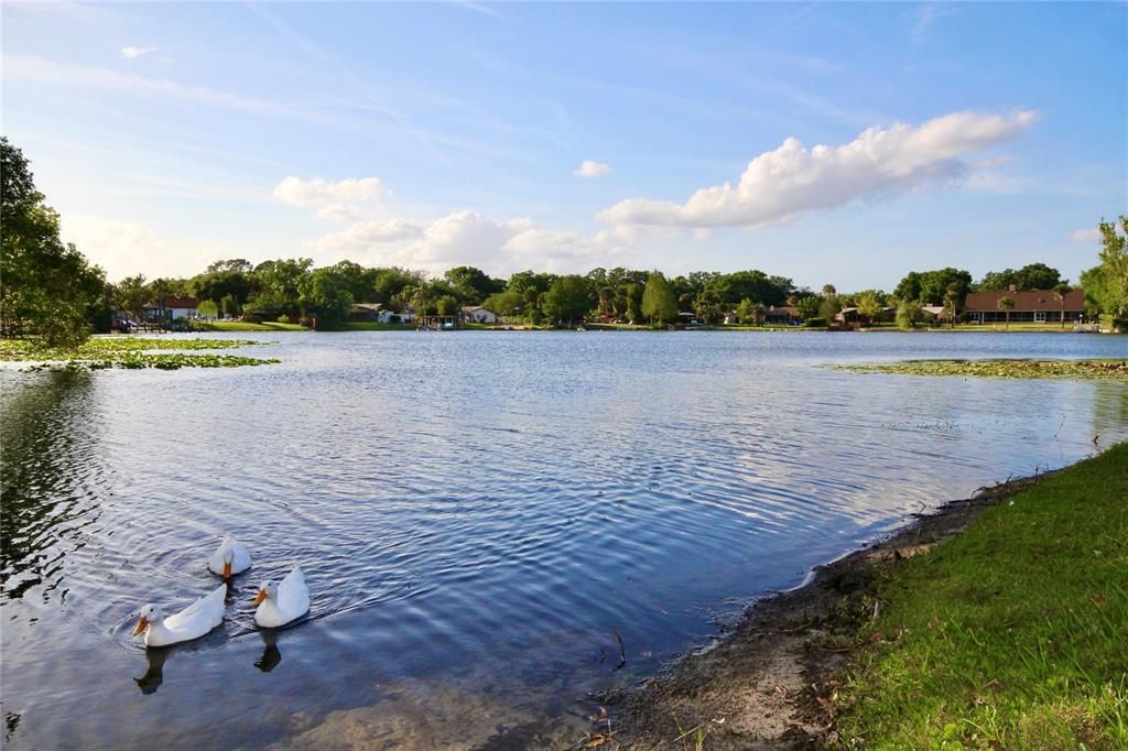 Additional Community Lake Views