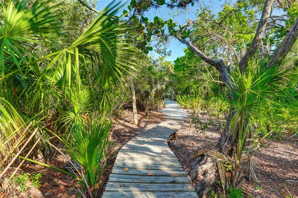 Nature trails