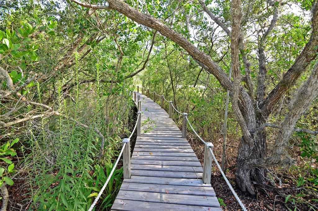 Nature trails