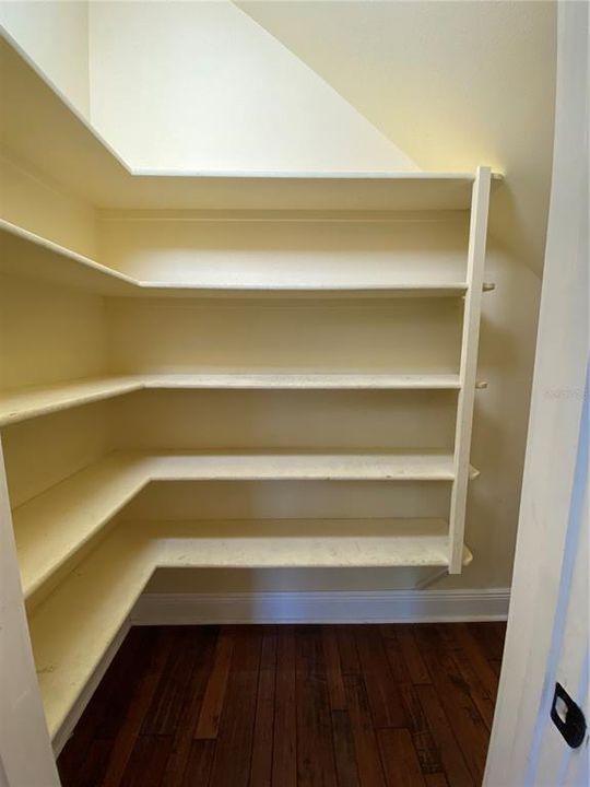 Kitchen pantry under stairwell