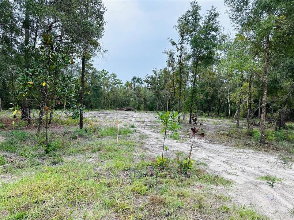 En Venta: $87,500 (4.04 acres)