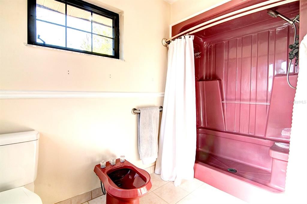 Master Bath Shower Tub View