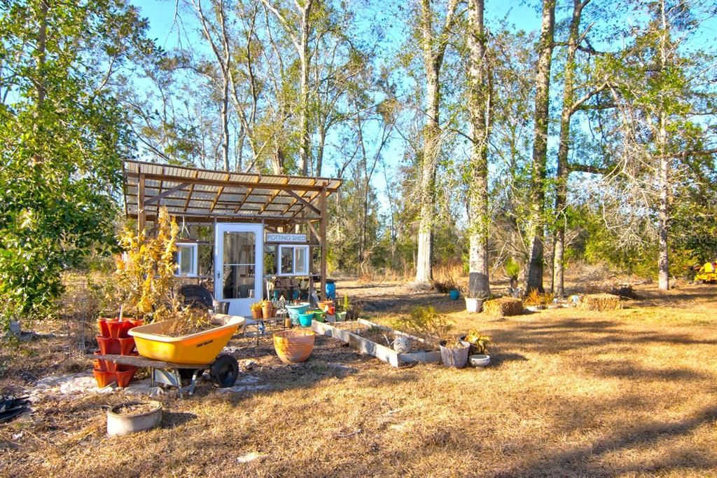 Greenhouse and Side Yard