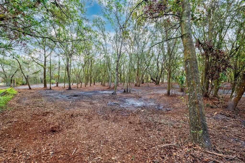 En Venta: $480,000 (9.73 acres)