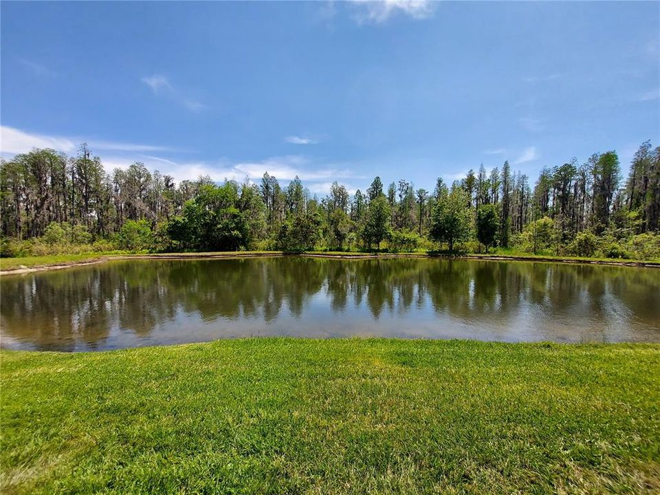 pond and conservation view