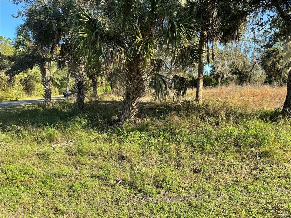 Active With Contract: $72,000 (0.74 acres)