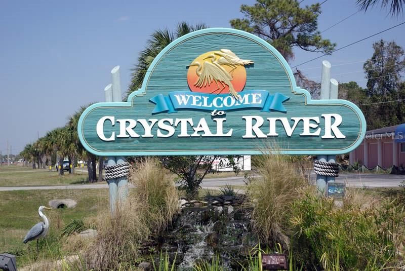 Welcome to Crystal River! The Home of the Manatee!