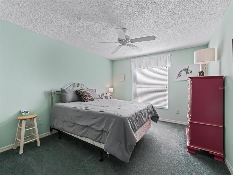 Spacious rear bedroom.