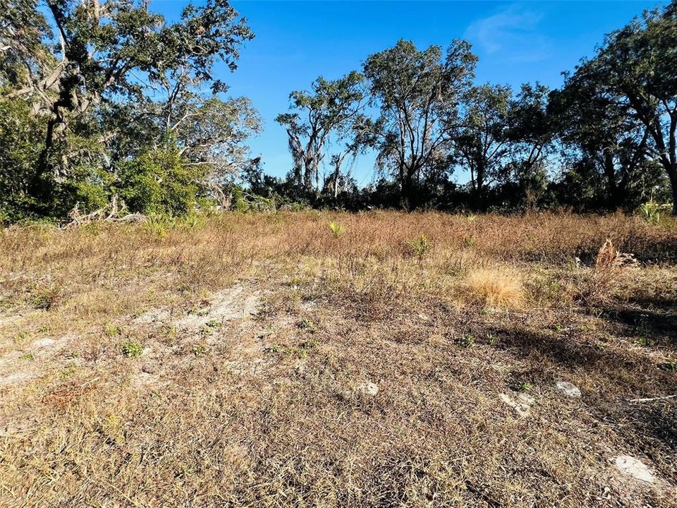 Active With Contract: $12,500 (0.17 acres)