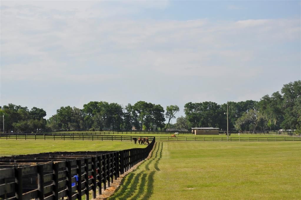 На продажу: $4,500,000 (78.00 acres)