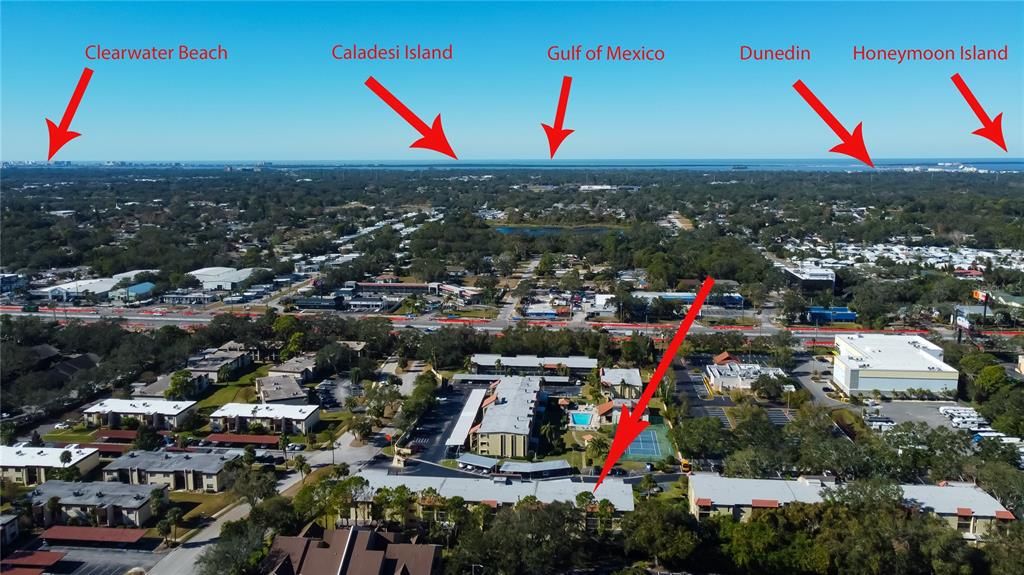 6. Centered Between Clearwater Beach & Dunedin Causeway, tht Leads to Honeymoon Island - Locals FAV State Park w Natural Beaches, Trails, Dog Beach, Ferry to Caledesi