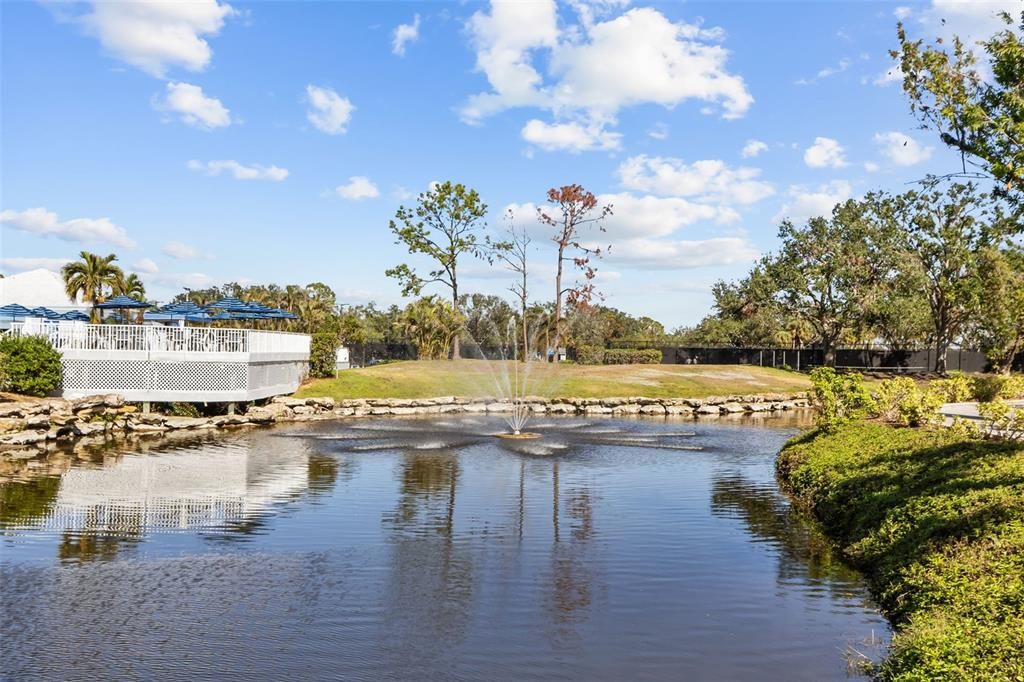 Plantation lakefront pool