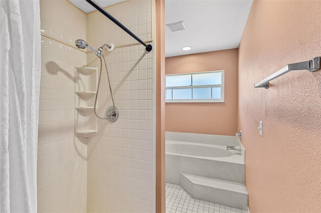 Primary separate shower and tub