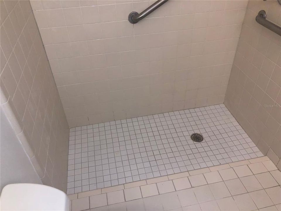 Primary Shower with level floor for wheel chair access