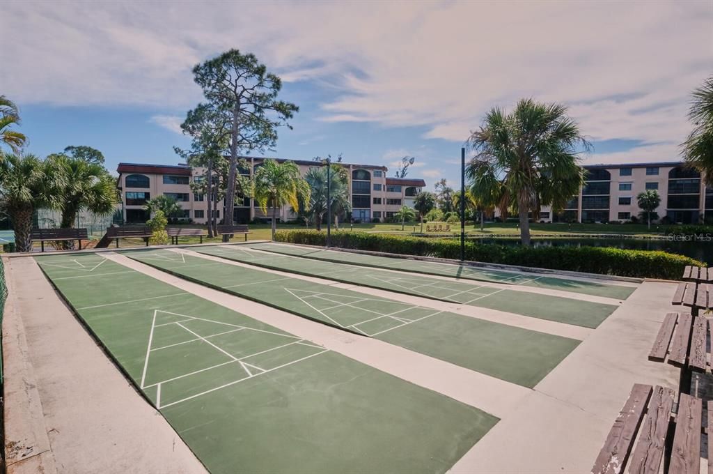 Shuffle Board Court