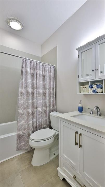 Guest Bath Tub/Shower Combo