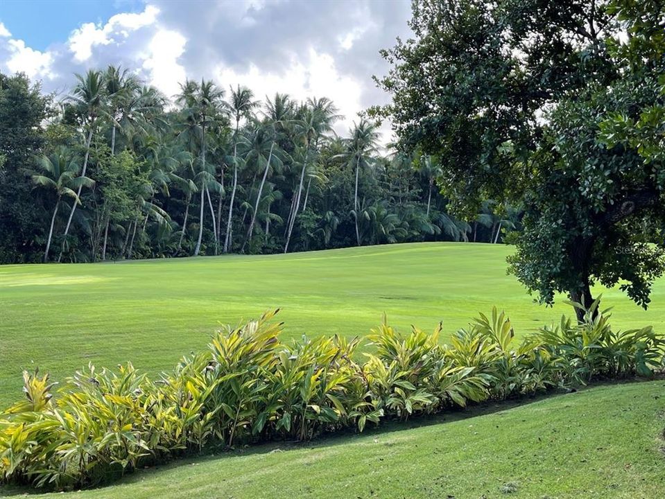 For Rent: $13,000 (2 beds, 3 baths, 1658 Square Feet)