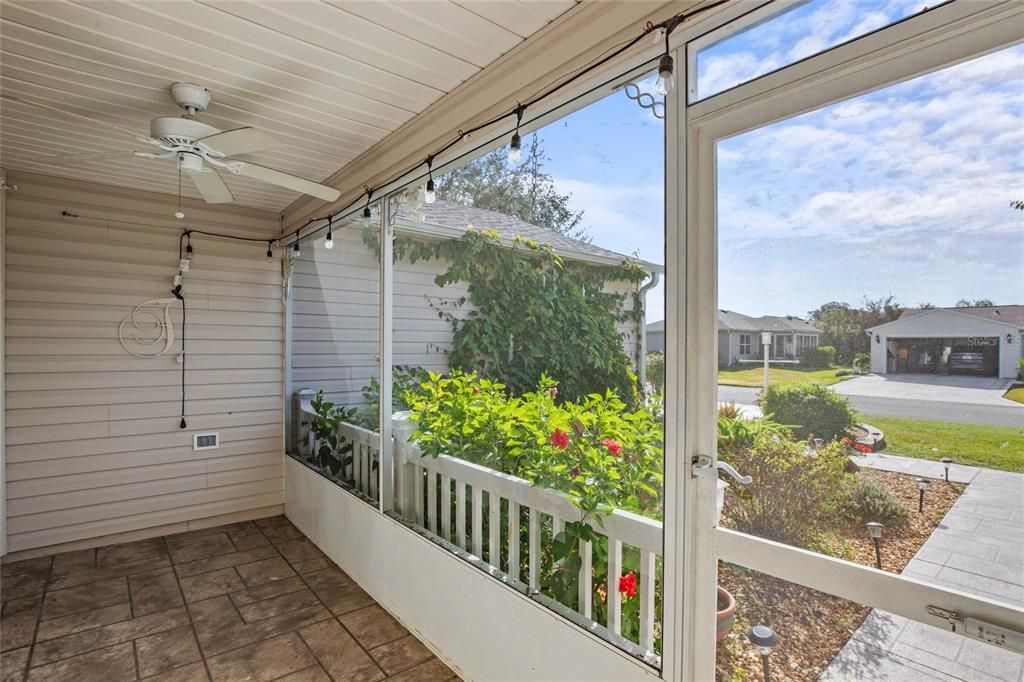 Looking out from front porch