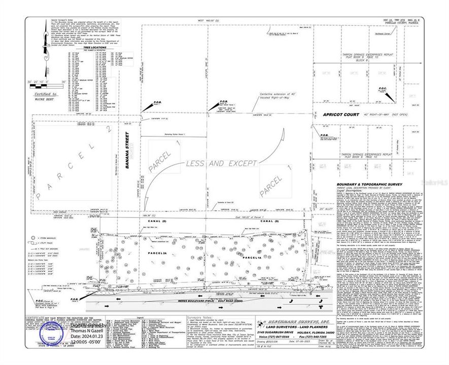 survey showing parcel split, also on Pinellas GIS