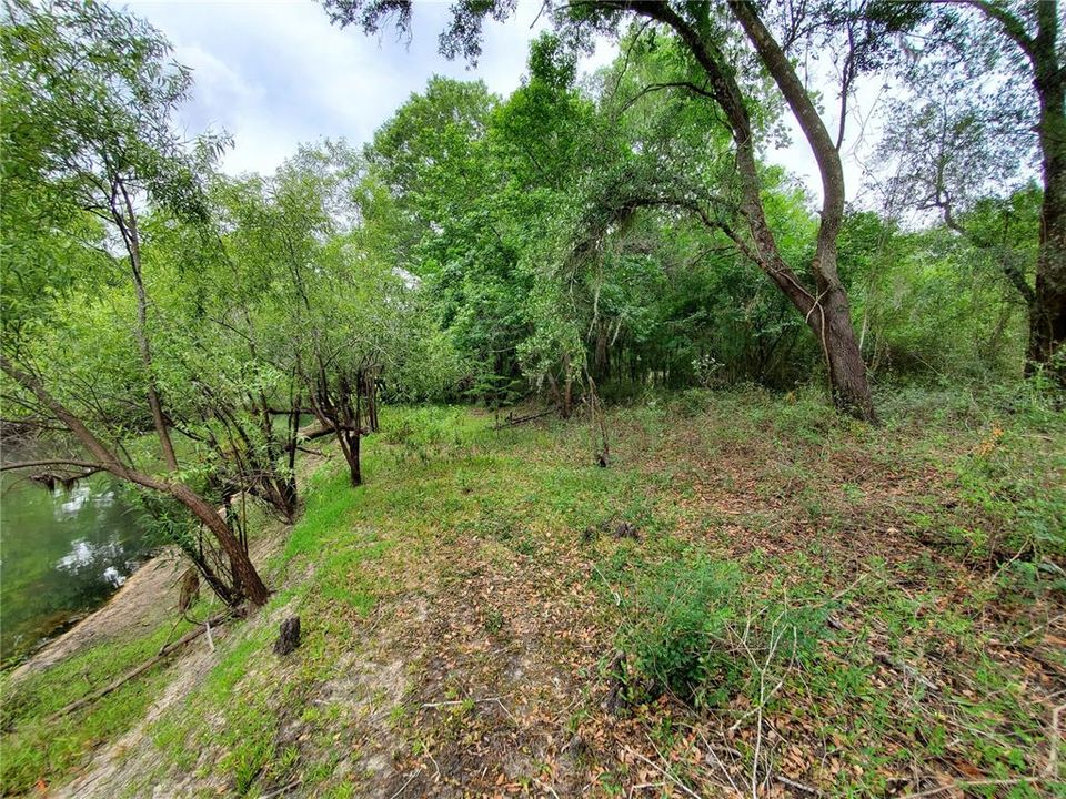 En Venta: $50,000 (0.34 acres)