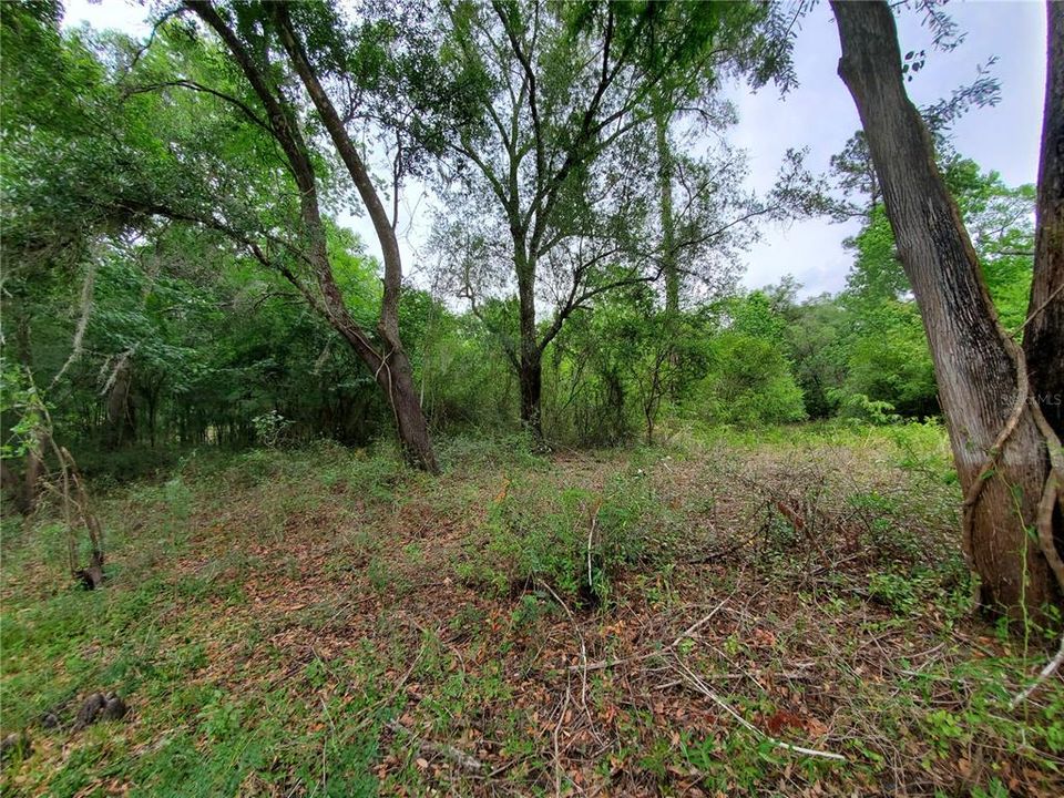 En Venta: $50,000 (0.34 acres)