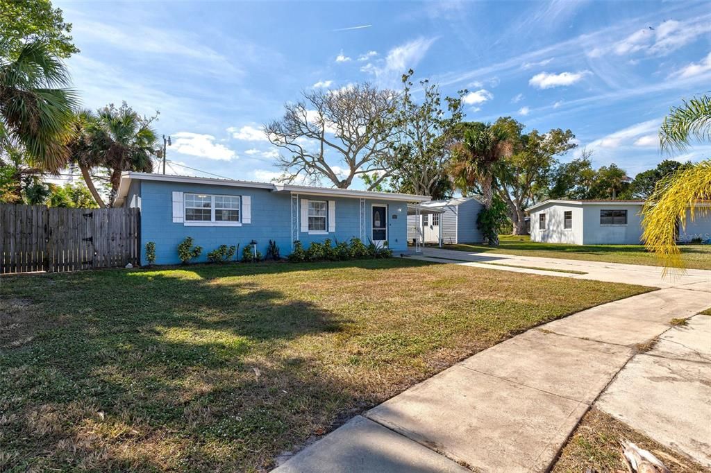 View from Left Side of House