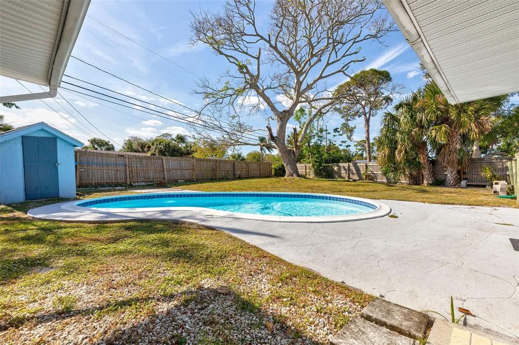 Pool view from back door