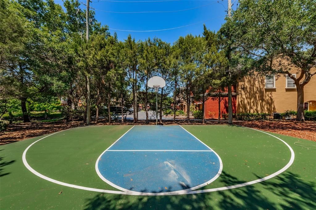 Basketball Court