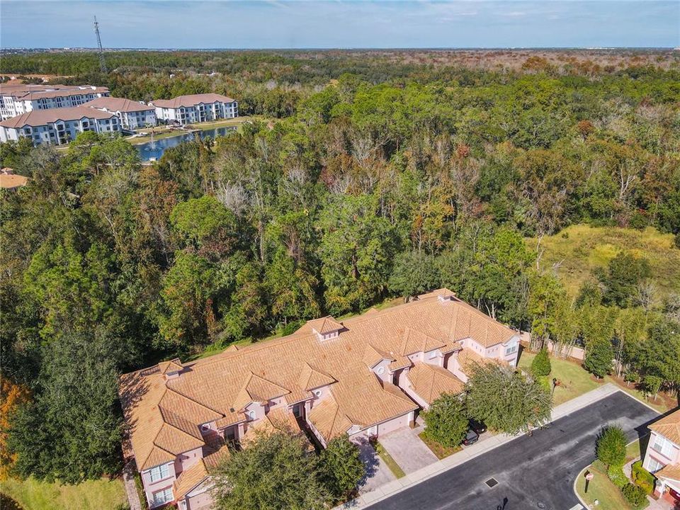 This aerial view shows the conservation area behind the property, which is wonderful for privacy with no rear neighbors.